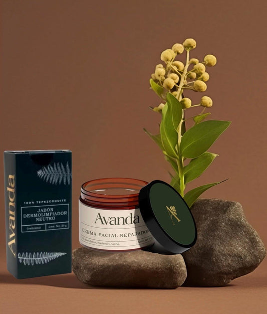Skincare Set – Natural Acne & Dark Spot Treatment | Soap + Facial Cream | Herbal Repair Kit